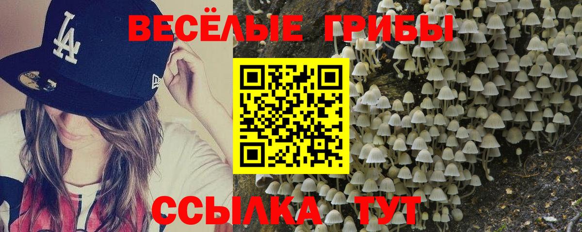 Галлюциногенные грибы мухоморы Новодвинск