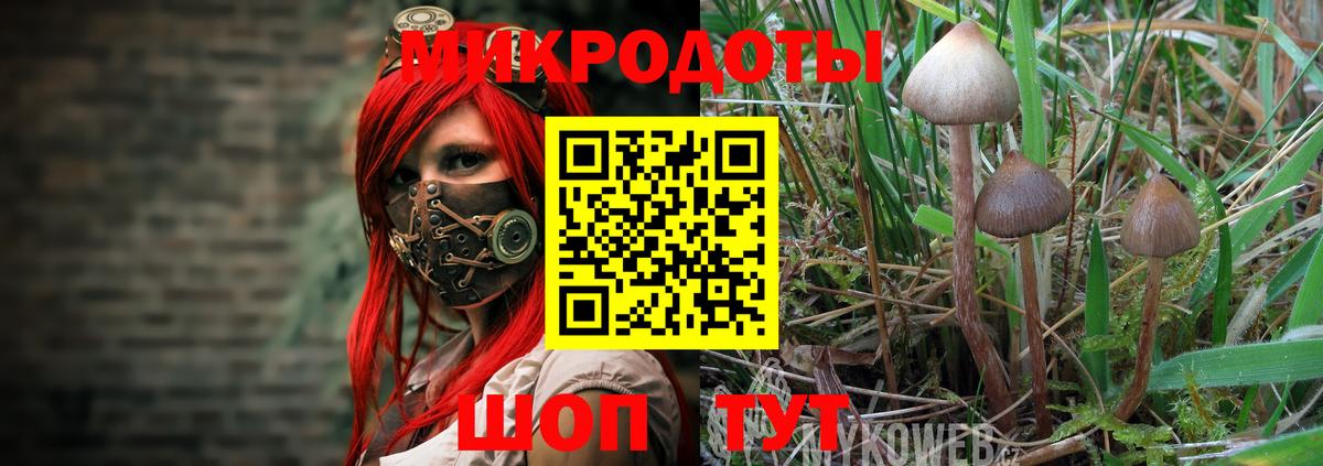 Псилоцибиновые грибы MAGIC MUSHROOMS  Псилоцибиновые грибы Psilocybe  Вход с VPN  Новодвинск 